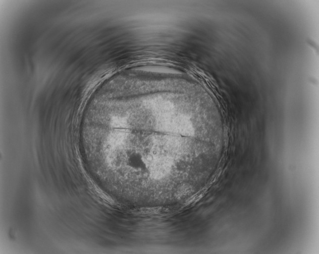 X0000096720049200803041410