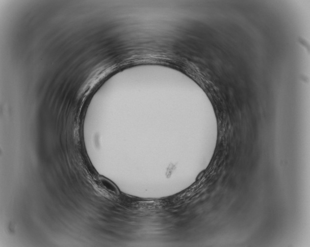 X0000096720050200803041410