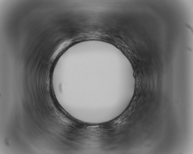 X0000096720054200803041410