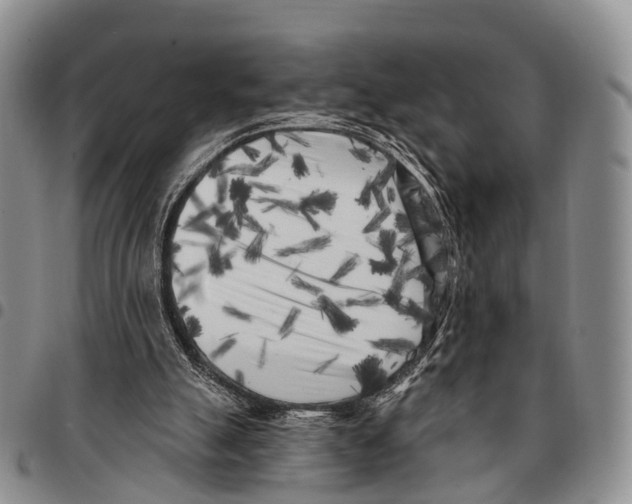 X0000096720055200803041410