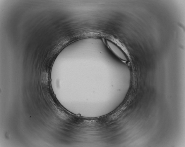 X0000096720057200803041410