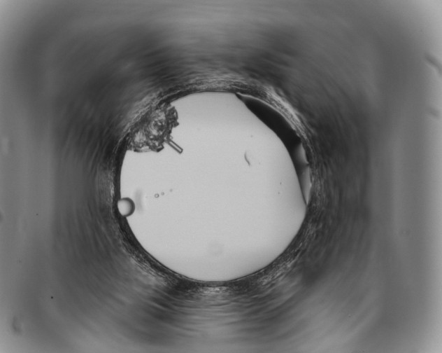 X0000096720059200803041410