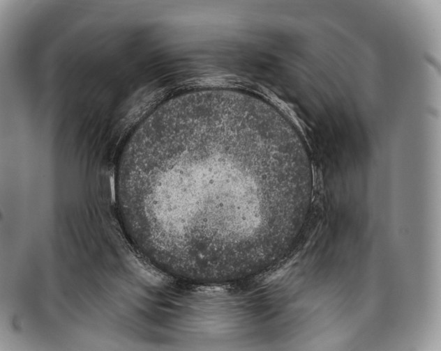 X0000096720061200803041410