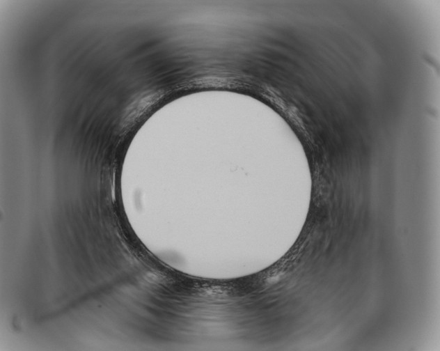 X0000096720062200803041410