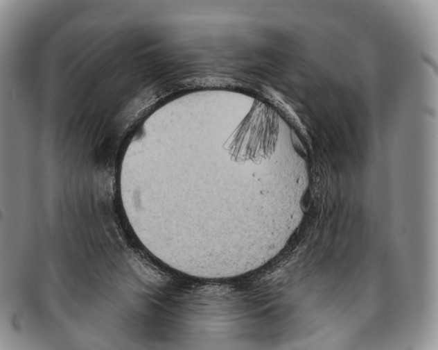 X0000096720063200803041410