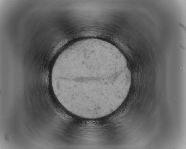 X0000096720064200803041410