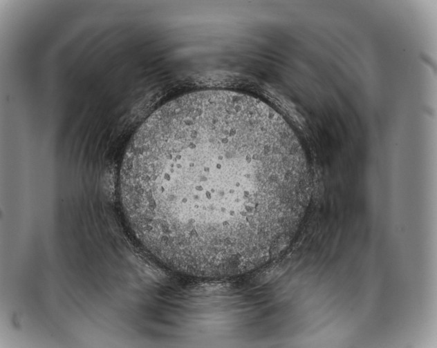 X0000096720065200803041410