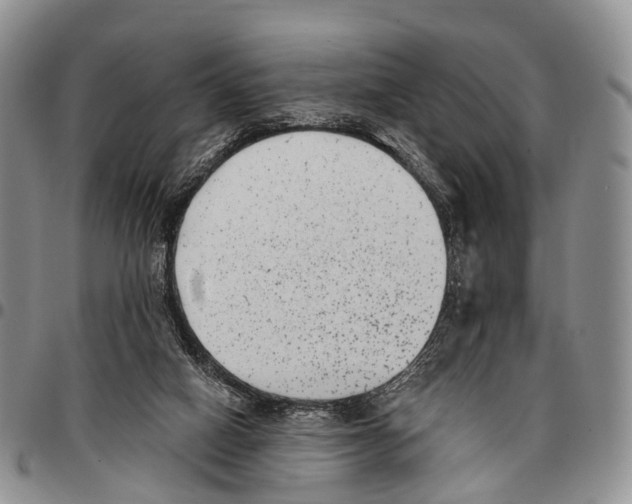 X0000096720066200803041410