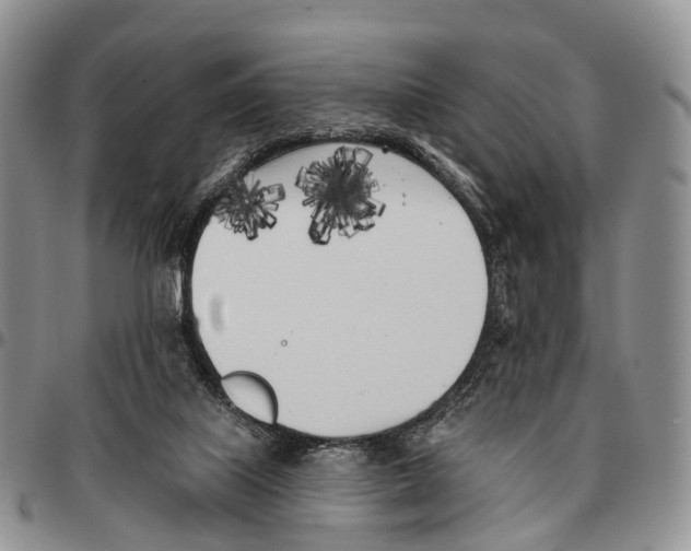 X0000096720067200803041410