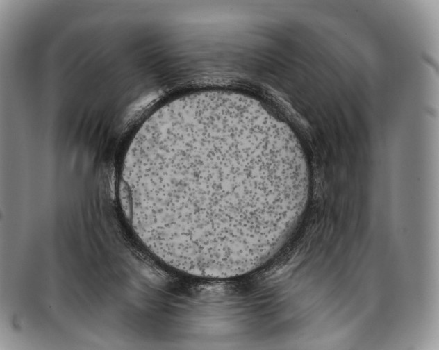 X0000096720068200803041410