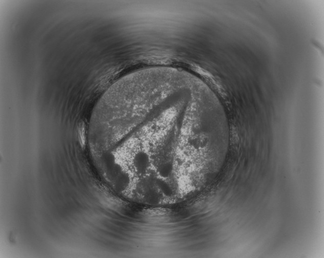 X0000096720069200803041410