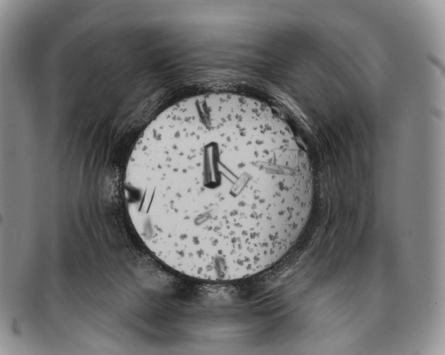 X0000096720073200803041410