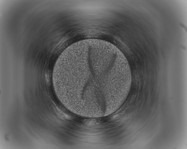 X0000096720074200803041410