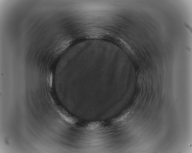 X0000096720076200803041410