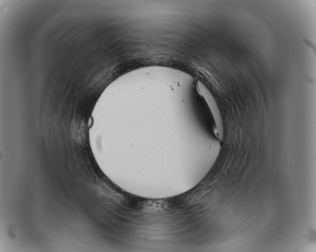 X0000096720077200803041410