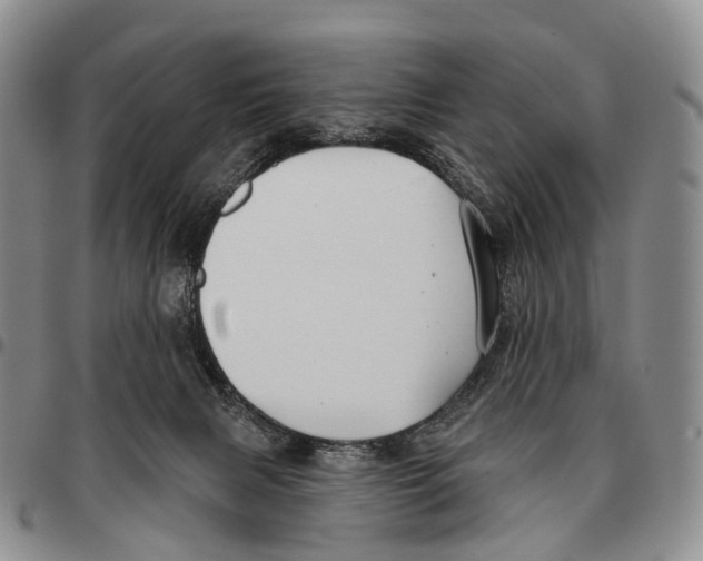 X0000096720079200803041410