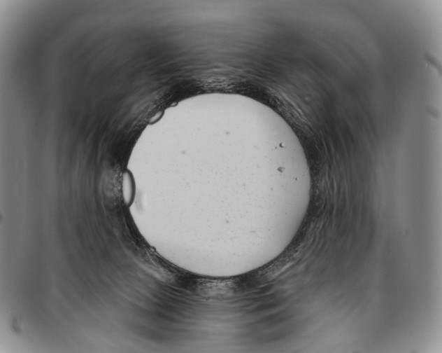 X0000096720081200803041410