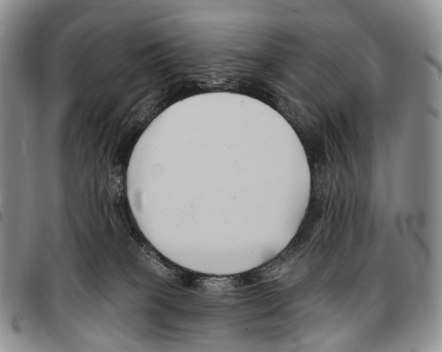 X0000096720085200803041410