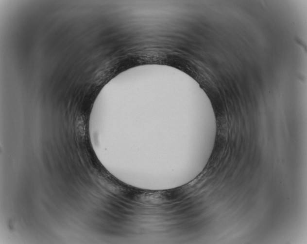 X0000096720086200803041410