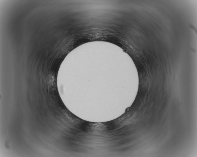 X0000096720087200803041410