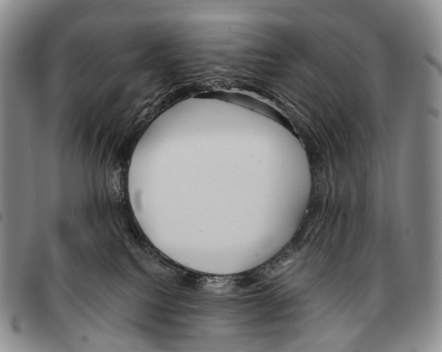 X0000096720088200803041410