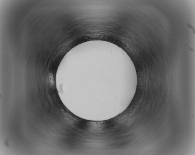 X0000096720089200803041410