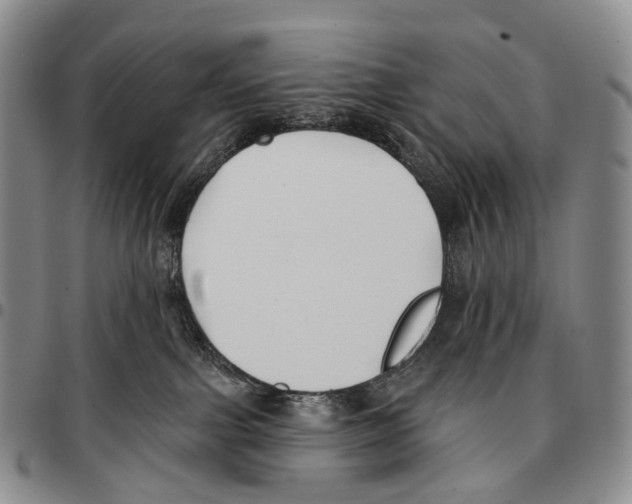 X0000096720091200803041410