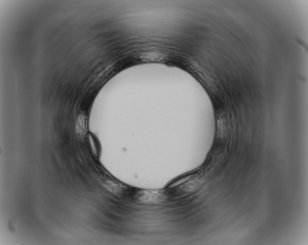 X0000096720093200803041410