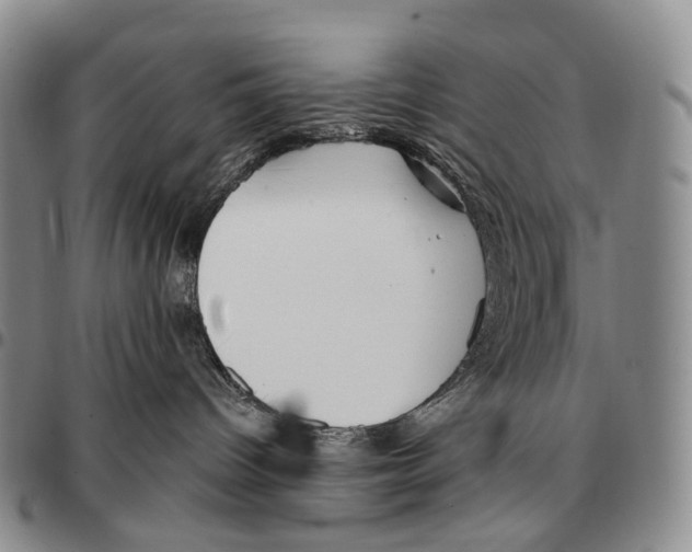 X0000096720096200803041410