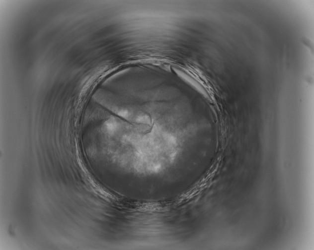 X0000096720097200803041410