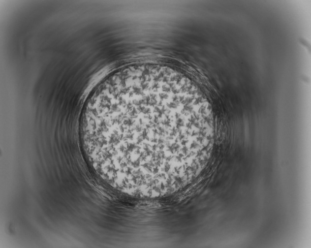 X0000096720099200803041410