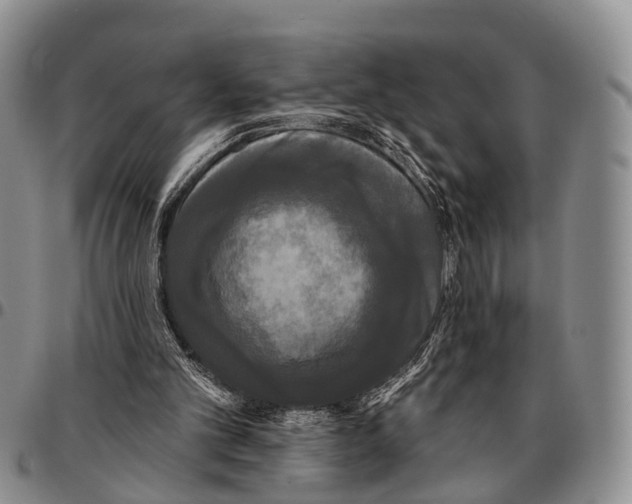 X0000096720101200803041410