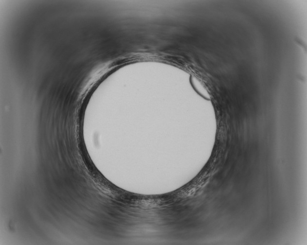 X0000096720103200803041410