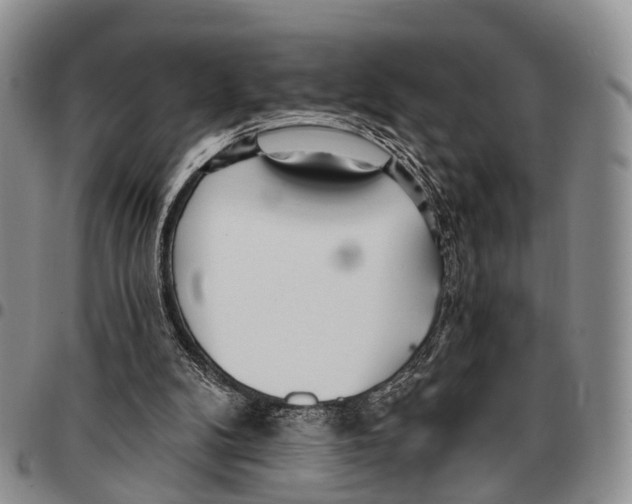 X0000096720104200803041410