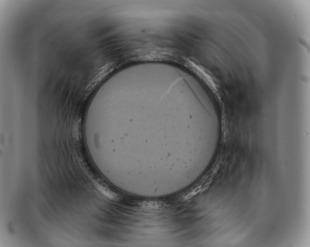 X0000096720105200803041410