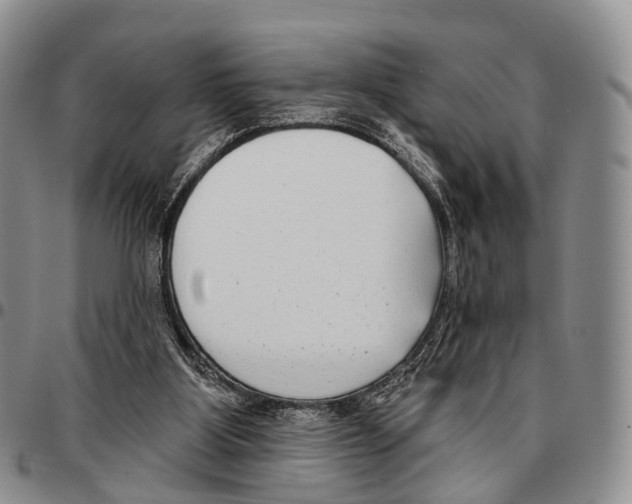 X0000096720107200803041410