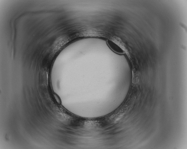 X0000096720109200803041410