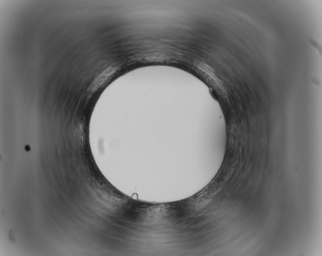 X0000096720116200803041410