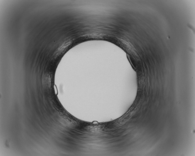 X0000096720120200803041410