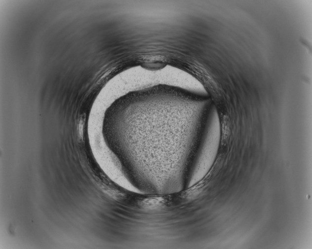 X0000096720124200803041409