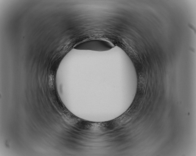 X0000096720130200803041409