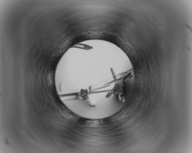 X0000096720131200803041409