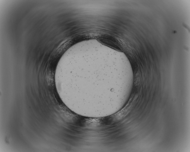 X0000096720140200803041409