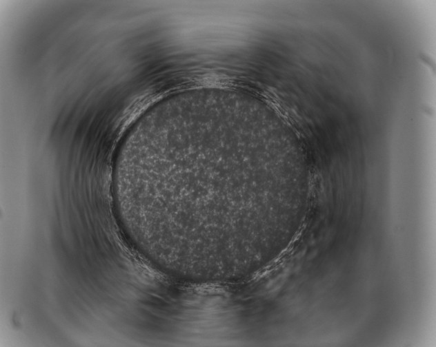 X0000096720146200803041409