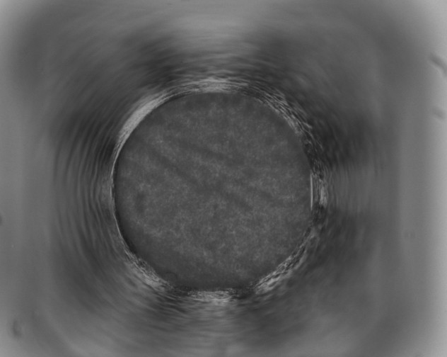 X0000096720147200803041409