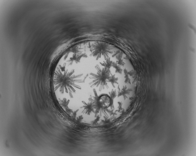 X0000096720149200803041409