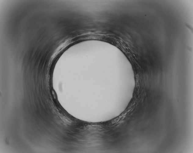 X0000096720150200803041409