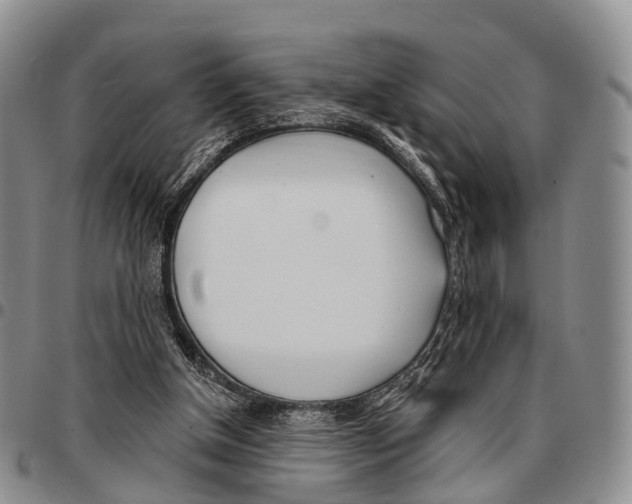 X0000096720154200803041409