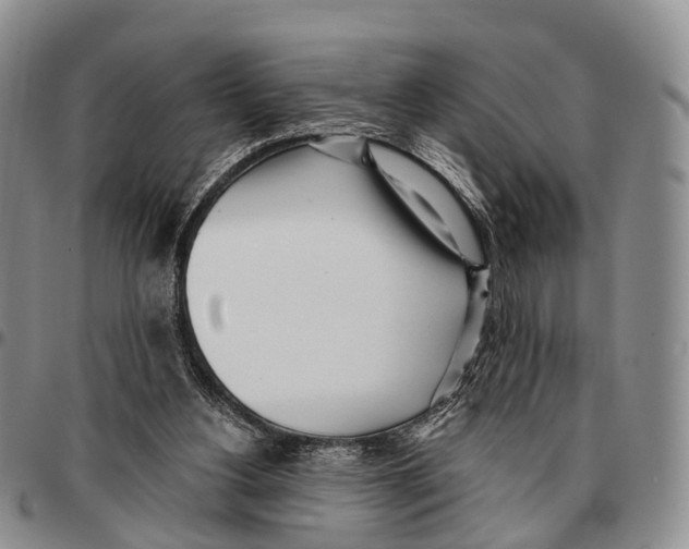 X0000096720156200803041409