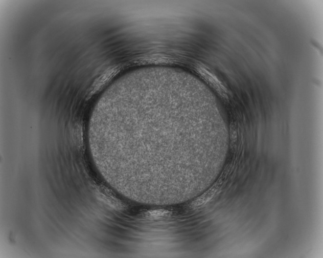 X0000096720158200803041409